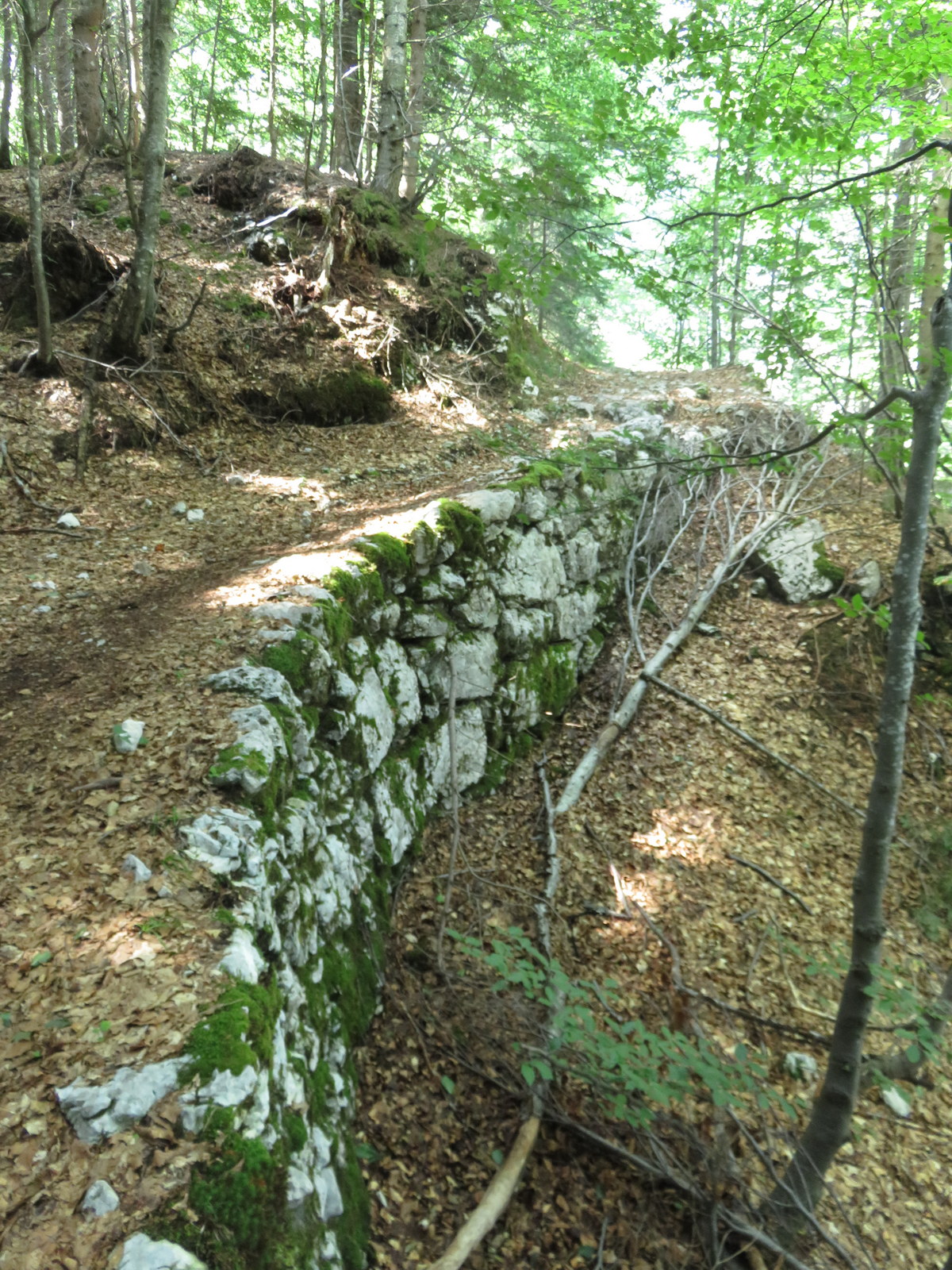 2-Day Triglav Seven Lakes Valley Hike 2 day triglav seven lakes valley hike 03