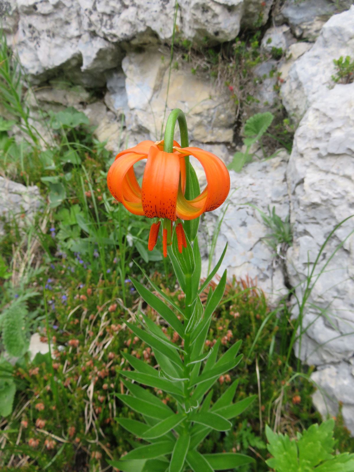 2-Day Triglav Seven Lakes Valley Hike 2 day triglav seven lakes valley hike 21