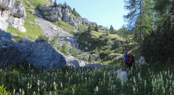 hidden valley beneath green peak 22hero