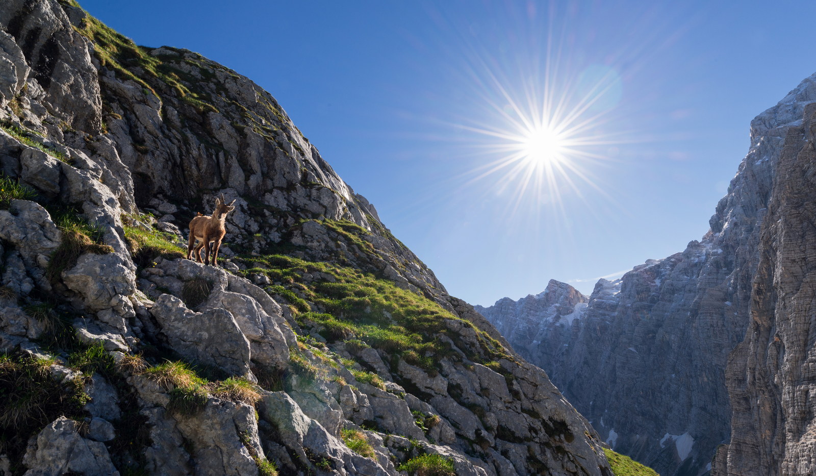 julian alps triglav national park 10