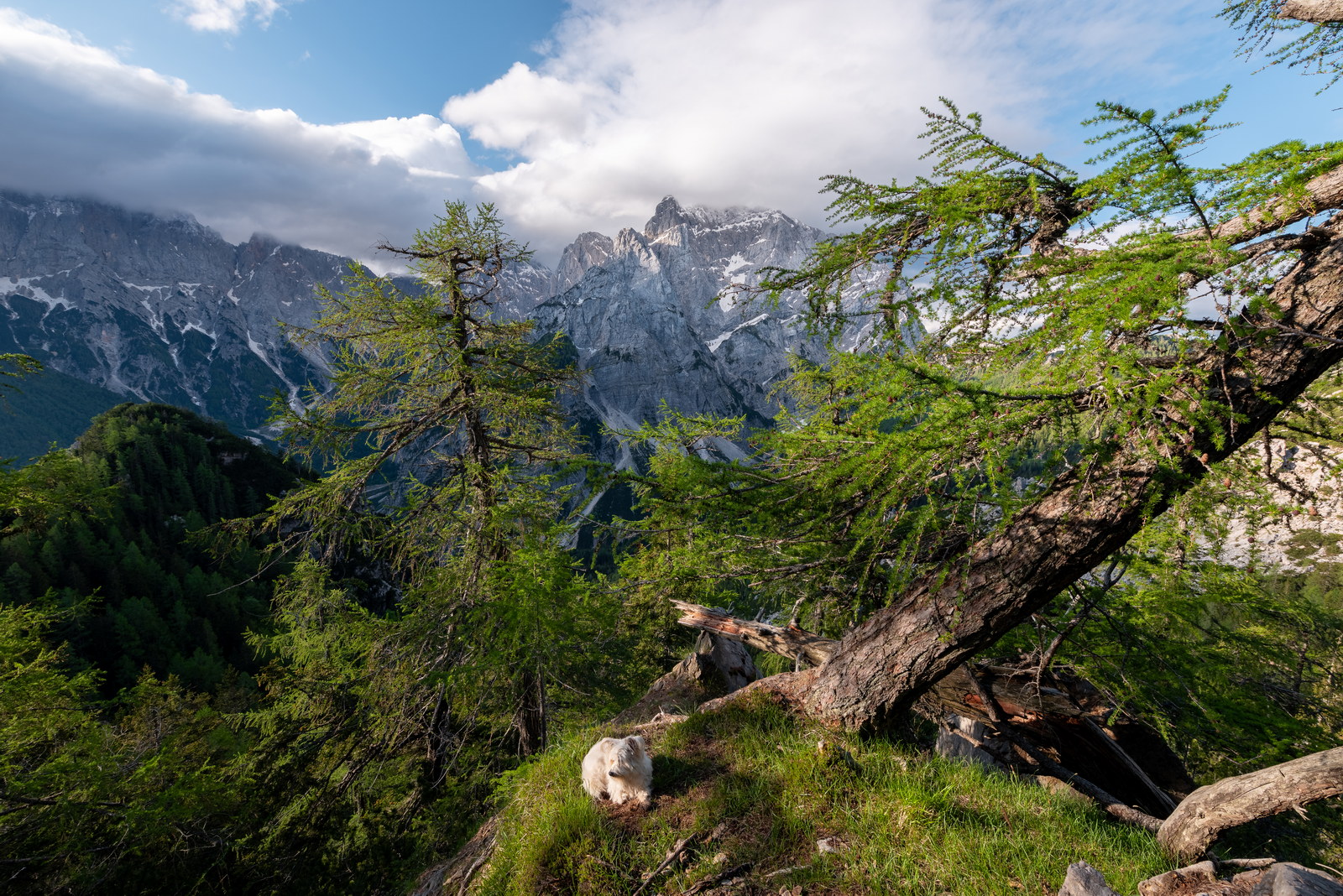 julian alps triglav national park 28