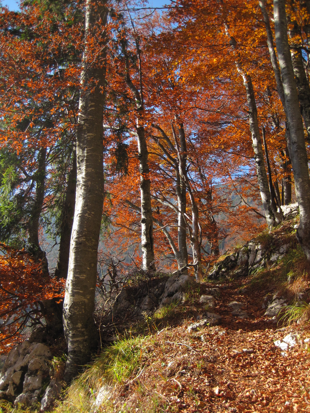 From a Mountaineer's Life oktober, okoli kaninskega pogorja, pl.baban 001