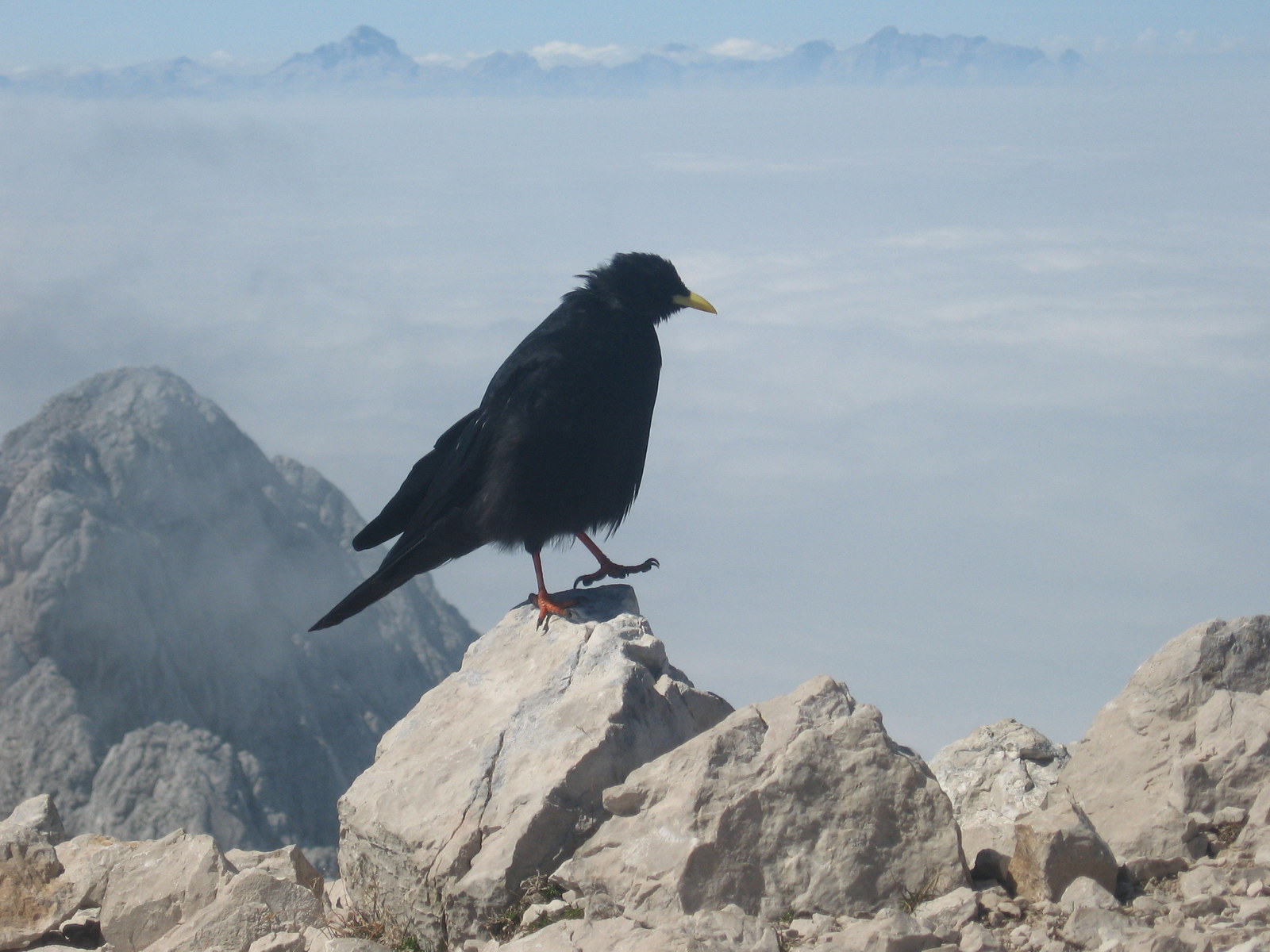 the hidden heart of the julian alps 05