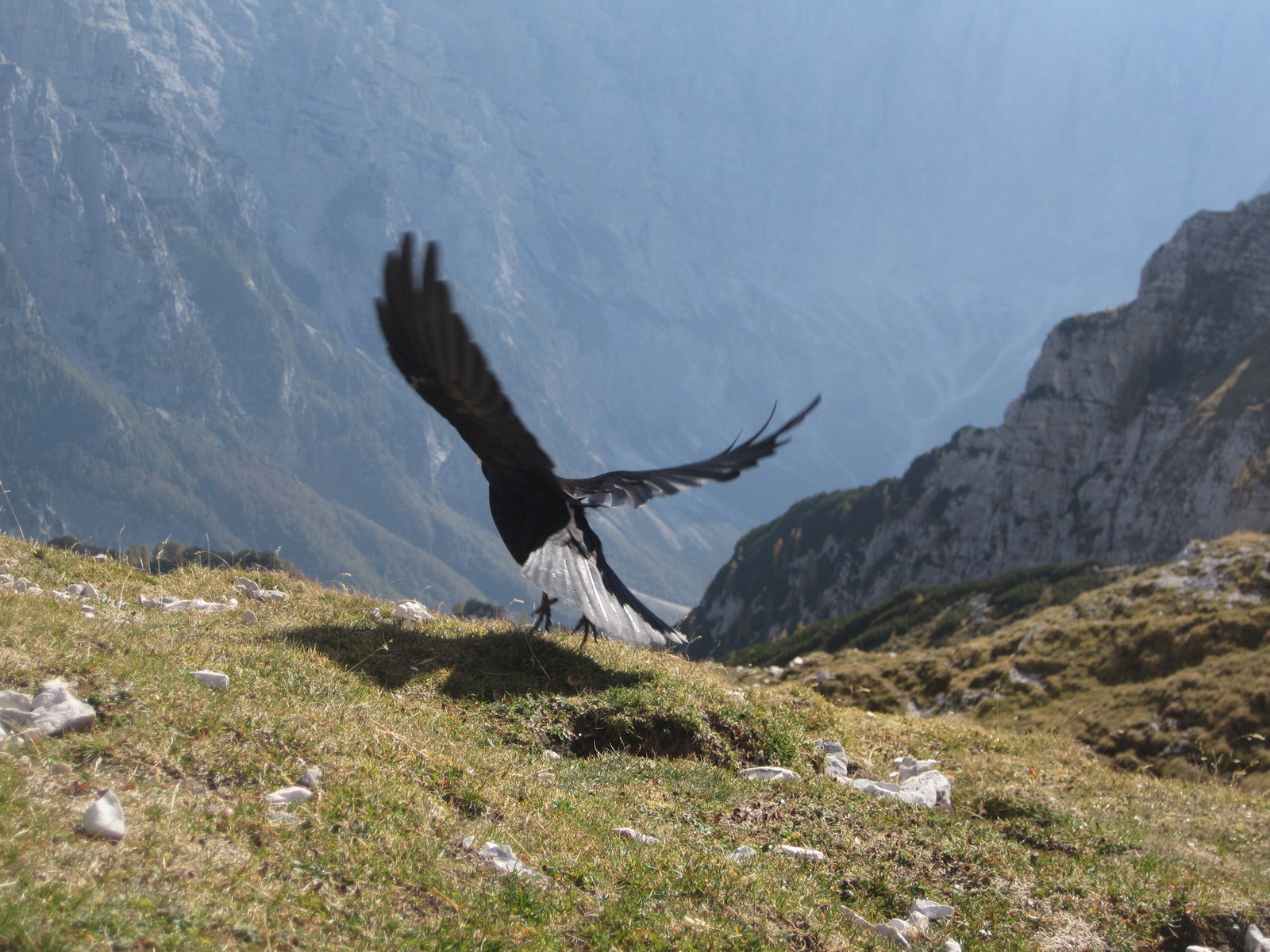 the hidden heart of the julian alps 19